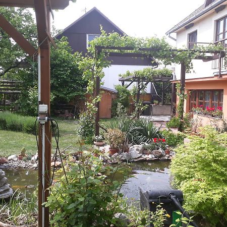 Pension Zeleny Strom Mikulov Eksteriør billede